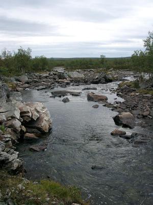 Kivisiä mutkia