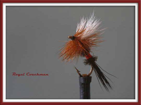 Hieman kikkailua kuvauksen kanssa