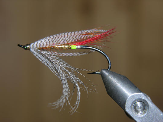 Australian Spey