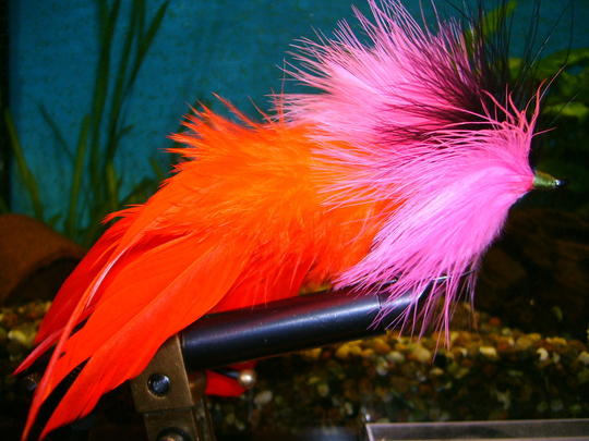 Marabou Deceiver