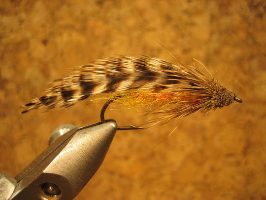 Perho sivulta