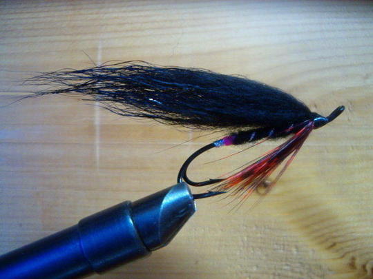 Partridge double wilson #2