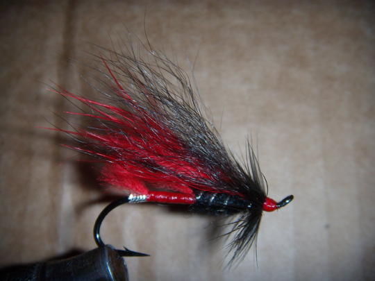 Red Rat