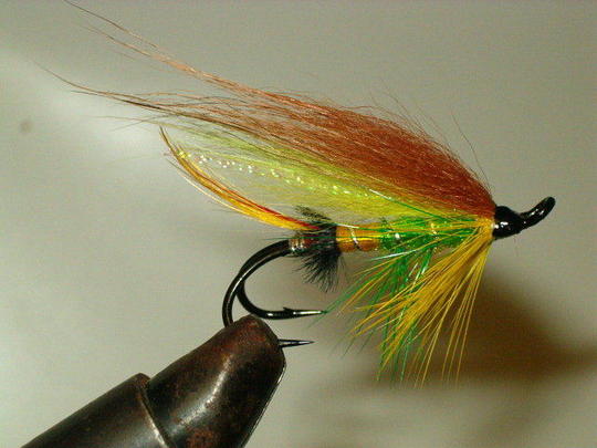 Partridge #4 LW