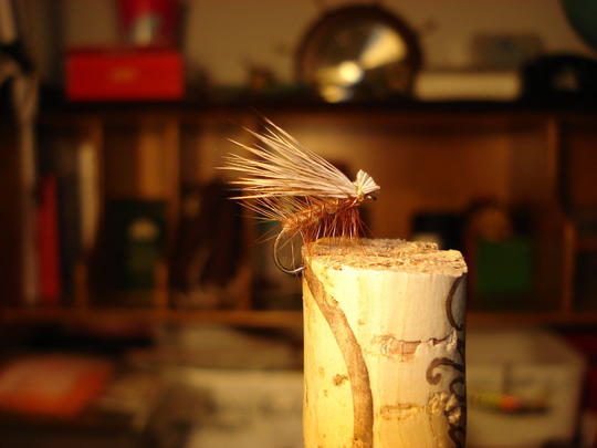 Elk Hair Caddis