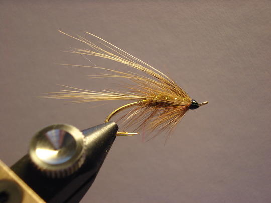 kakshaara salmon salar gold #3