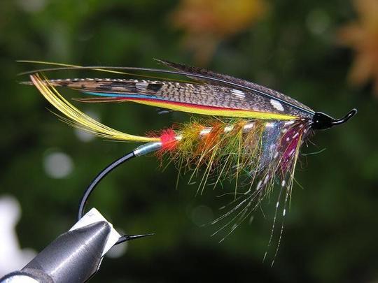 Lievään vastavaloon kuvattuna