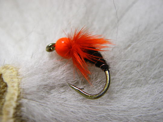 Kirrepupa #12