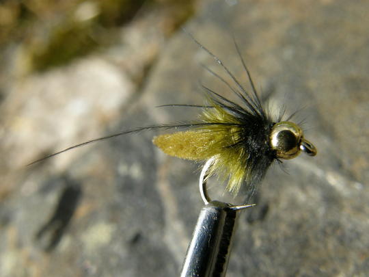 Etuvinkkeli