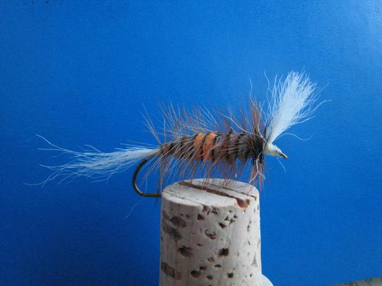 Perho sivulta