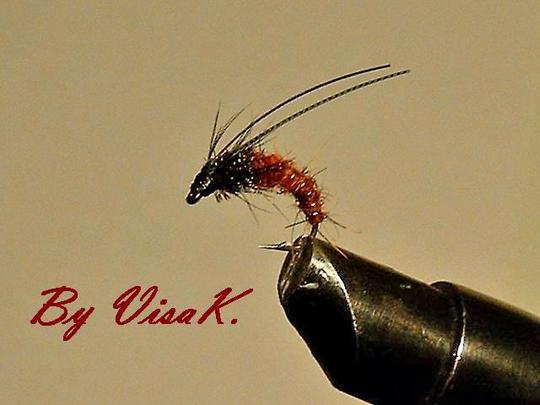 Vähän hämärä kuva, mutta kyllä siitä selvän saa