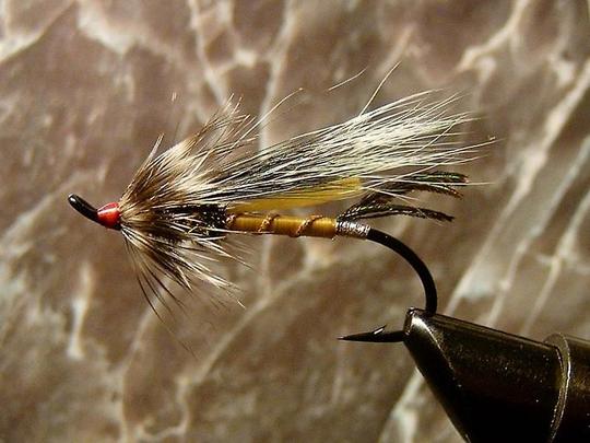 Rusty rat