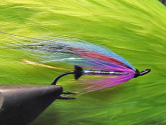 Tällä perholla olisi tarkoitus nyppiä lohta tänä vuonna.