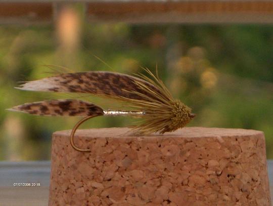 Olive mudler minnow