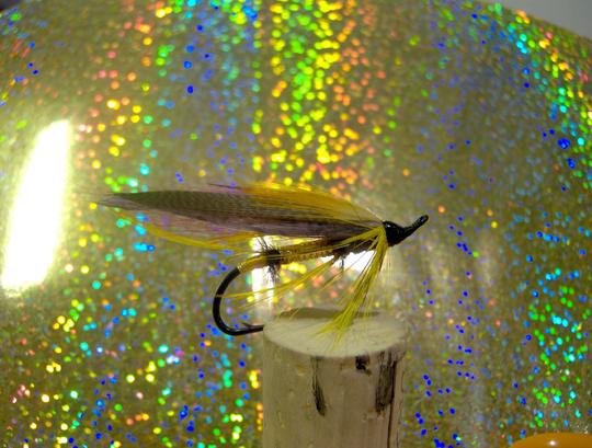 Turral single salmon #1