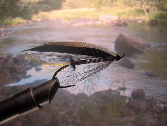 mustad #1