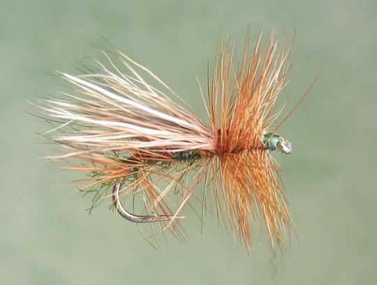 Peura-Caddis (Sidos: Pädeveikko)