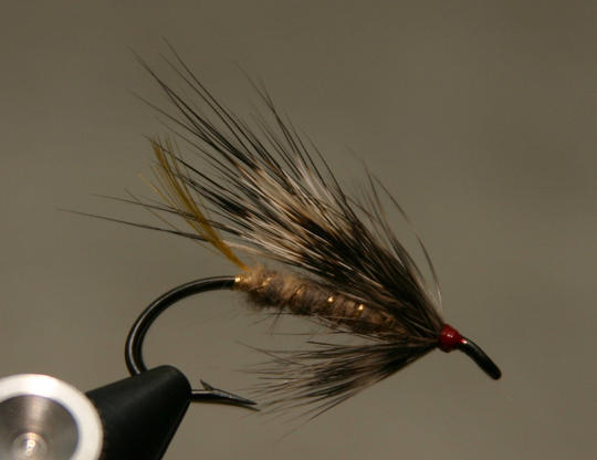 Grey Rat (muunnos)