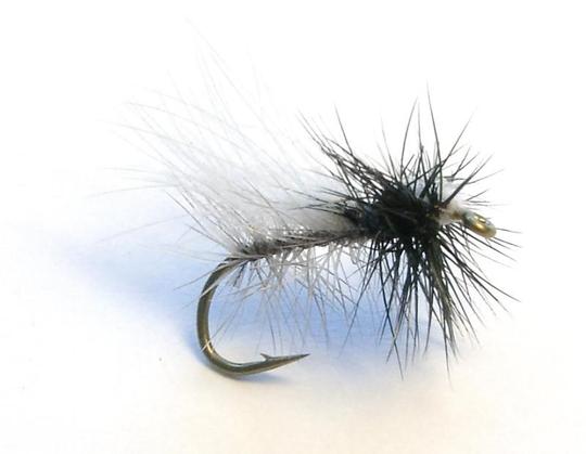 CDC Suntio (Sidos: Päde-Veikko)
