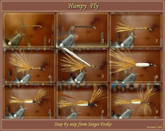 Humpy step by step 