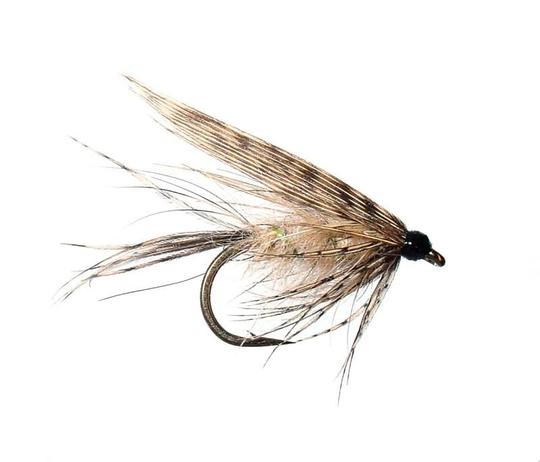March Brown (Sidos: Päde-Veikko)