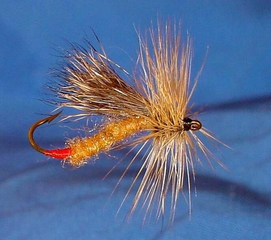 Muniva Caddis