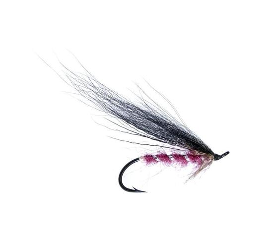 Black & Claret (Sidos: Päde-Veikko)
