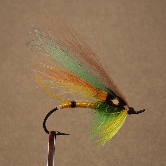 karvasiipinen Highlander (nro 2 1-haarainen)