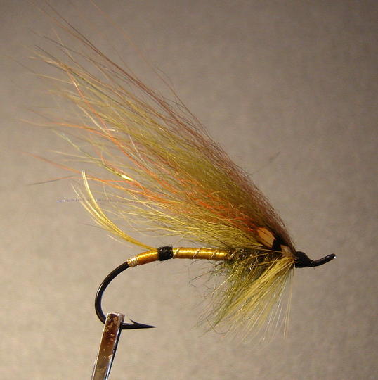 Oliivi karvasiipinen Highlander (nro 2 1-haarainen)