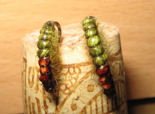 Perus-Larva
