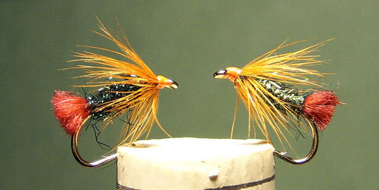 (vasemmalla peacock black, oikealla peacock)