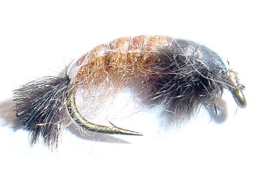 Siiviläsirvikäs, ruskea (Sidos Perhokulma)