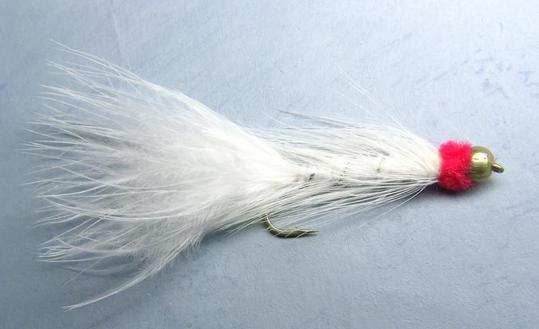 Valkoinen Leech (Sidos: Tero Reiman)