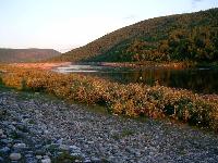 Tässä vaiheessa suvanto oli jo lähes täysin hiljentynyt siikatuikeista