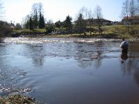 Dagsmarkin sillan yläpuolen upea niska!