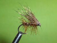 elkhair caddis 1,8eur. koukku: 10,12