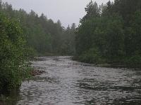 Härkäkoskea