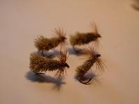 caddis
