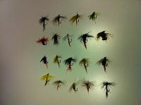 Pintaperhoja halvalla.