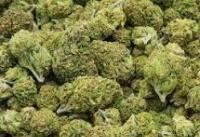 WhatsApp +14353285212 Buy weed in Dubai,Umm al-Qaiwain,Fujairah,Ajman,qatar,jeddah,saudi arabia,riyadh,iraq,dubai